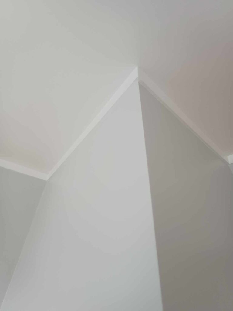 ceiling and walls painting